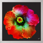 Colorized Hibiscus Print on Canvas