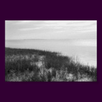 Colorless Bay posters