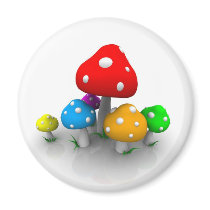 COLORS magnets