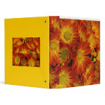 Colors of Fall binders