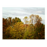 colors of fall post card