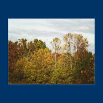 colors of fall postcards