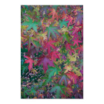 Colors of Fall posters by queenbee23 Colors of Fall posters