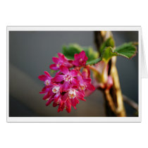 Colors of spring cards