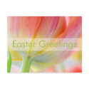 Colors of Spring • Easter Postcard