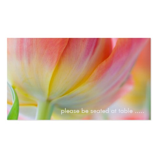 Colors of Spring â€¢ Place Card Business Card (front side)