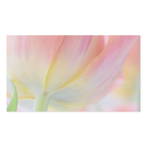 Colors of Spring â€¢ Place Card Business Card (back side)