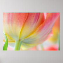 Colors of Spring Print