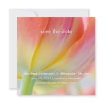 Colors of Spring • Save the Date Announcement invitations