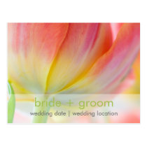 Colors of Spring • Save the Date Postcard postcards
