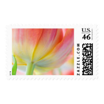 Colors of Spring Stamp