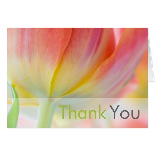 Colors of Spring Thank You Card | Zazzle