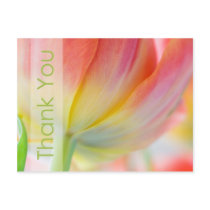 Colors of Spring Thank You Postcard by SabineStGreetings Colors of Spring Thank You Postcard