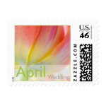 Colors of Spring Tulip • April Wedding Stamp stamp