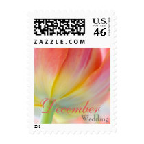 Colors of Spring Tulip • December Wedding Stamp