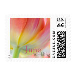 Colors of Spring Tulip June Wedding Stamp