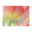 Colors of Spring Tulip • RSVP Postcard postcard