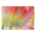 Colors of Spring Tulip Save the Date Card