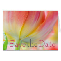Colors of Spring Tulip Save the Date Card