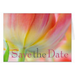 Colors of Spring Tulip Save the Date Card