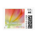 Colors of Spring Tulip • September Wedding Stamp