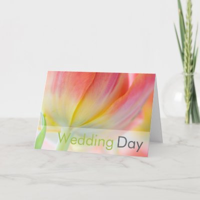 Colors of Spring Wedding Congratulation Card by SabineStGreetings