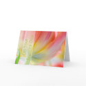 Colors of Spring Wedding Congratulation Card by SabineStGreetings Colors of Spring Wedding Congratulation Card