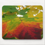 Colors of the Maple Leaf Mousepad