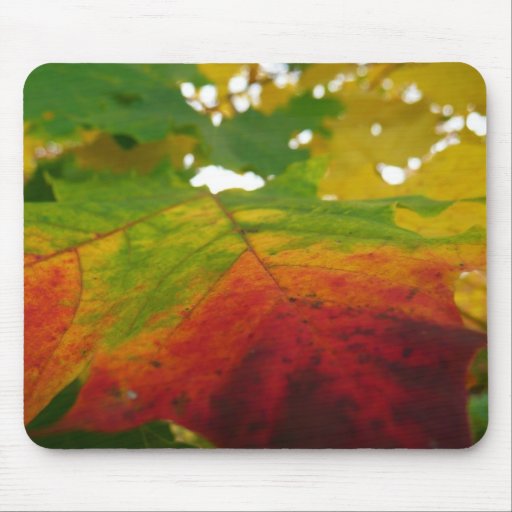 Colors of the Maple Leaf Mousepad