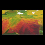 Colors of the Maple Leaf Sticker