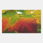 Colors of the Maple Leaf Sticker