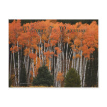 Colors Of The Tetons Postcard by SunrisePhotos Colors Of The Tetons Postcard