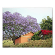 Colors of Upcountry Maui Art Photo