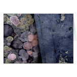 Colors on Stone Card