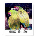 Colors posters