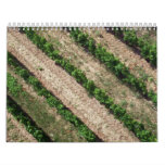 Colors, Shapes, and Patterns Calendar