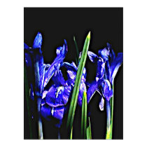 The MUSEUM Artist Series Colossal 72" x 52" and 52" x 72" Giclée Art posters by The_MUSEUM
