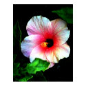 Colossal 72" x 52" and 52" x 72" Giclée Art posters by The_MUSEUM Colossal 72" x 52" and 52" x 72" Giclée Art posters