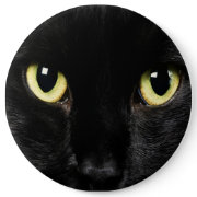 COLOSSAL Black Cat Pinback Buttons Backpack Pins button