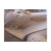 Colossal limestone statue of Ramses II Memphis Post Card