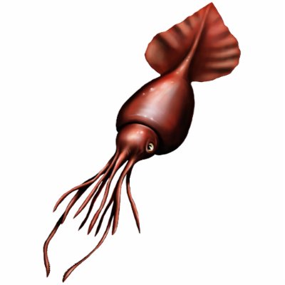 Colossal Squid Cutout Magnet/Sculpture Photo Sculptures by cryptozoologyshop