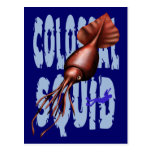 Colossal Squid Postcards