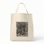 Colossus of Abu Simbel, Nubia ~ 1850 bags