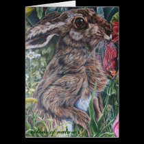 colour of nature cards
