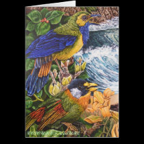 COLOUR OF NATURE cards