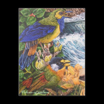 Colour of nature postcards