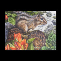colour of nature postcards