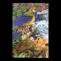 colour of nature posters