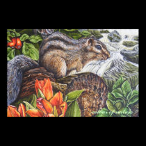 colour of nature posters