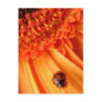 colour of summer postcard